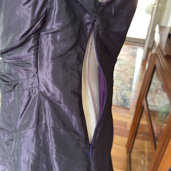 Irene Van Ryn dress & cape - Picture 5 of 11